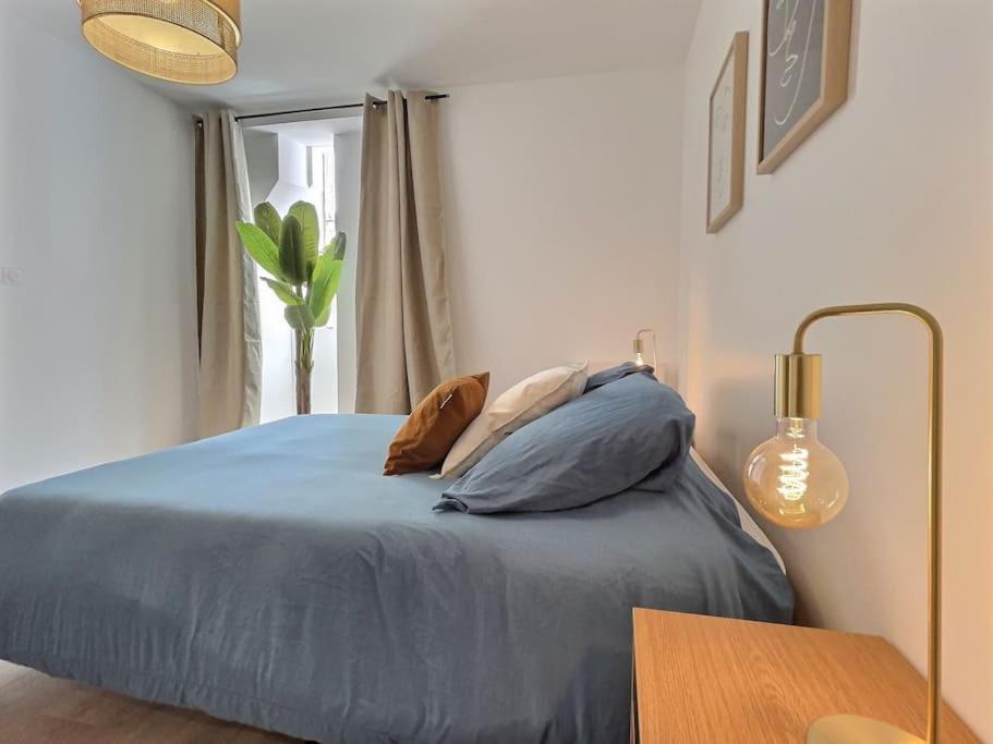 Le Victor Hugo, L'Appartement Valentinois Valence  Buitenkant foto